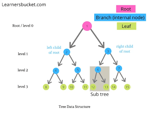 Understanding Binary Trees: Structure, Memory Allocation, and Traversal